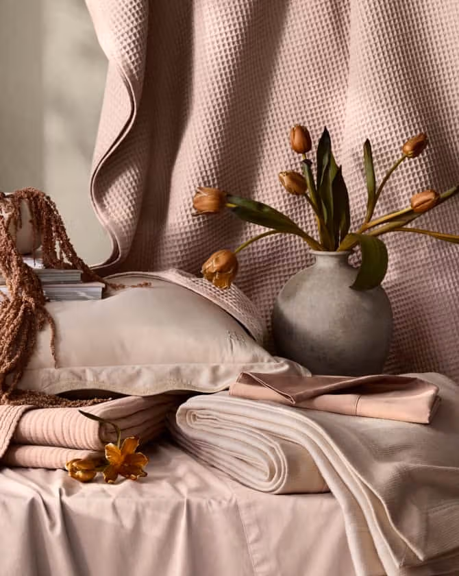 Signature Starter Bundle